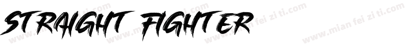 Straight Fighter字体转换